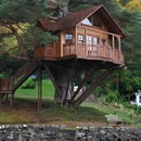 tree house photography contest